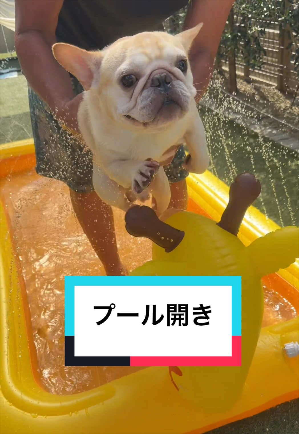 @🐶とん&ぺっぺこぺー🦊