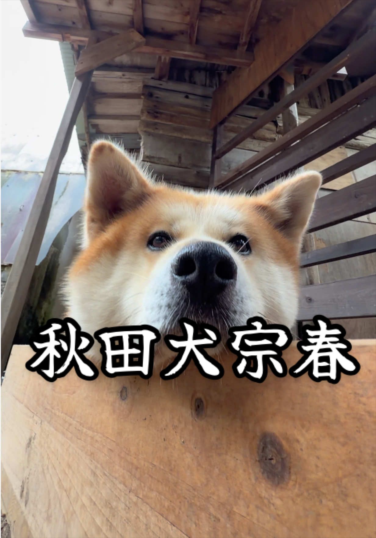 @草津熱帯圏