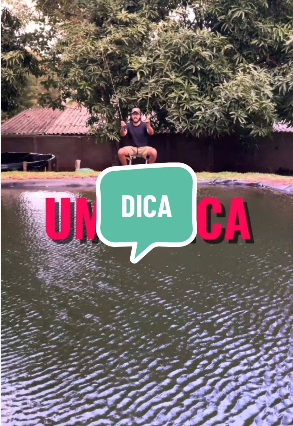 @diogopescarias