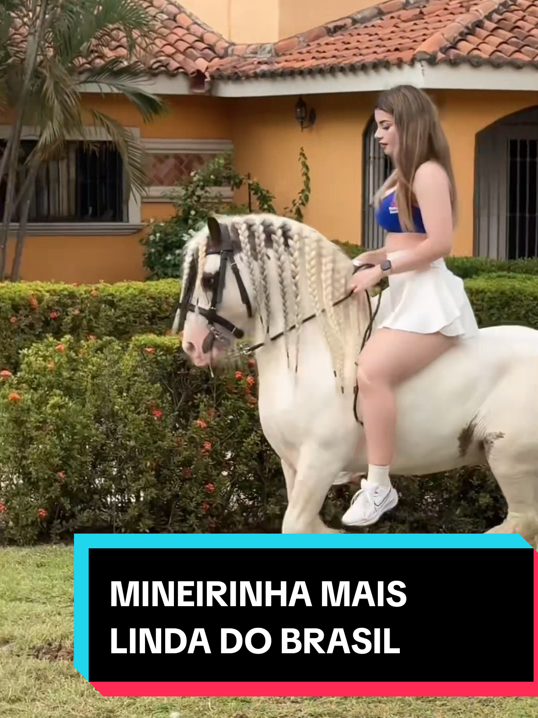 @Lobo da Verdade