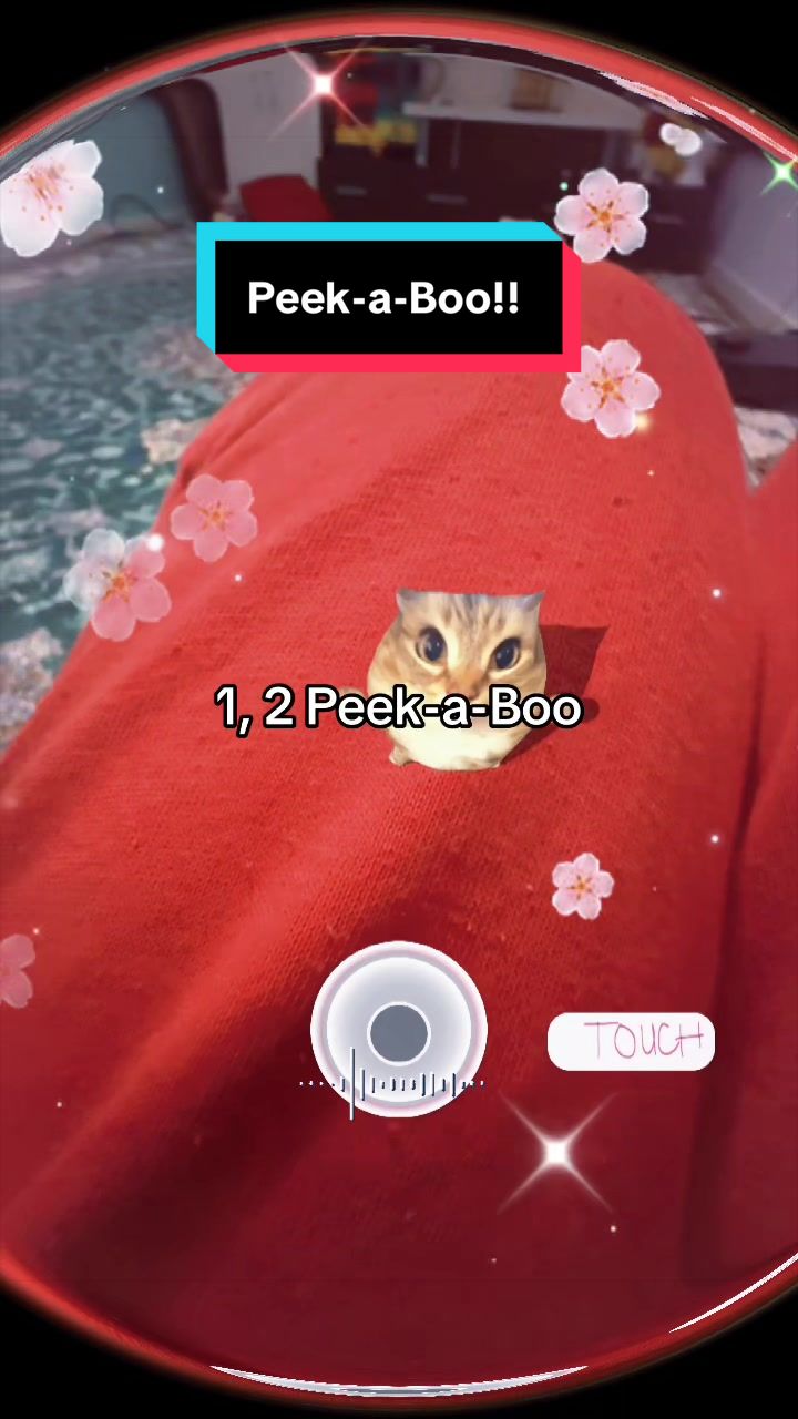 @sunu_sl🇳🇵🇦🇺
