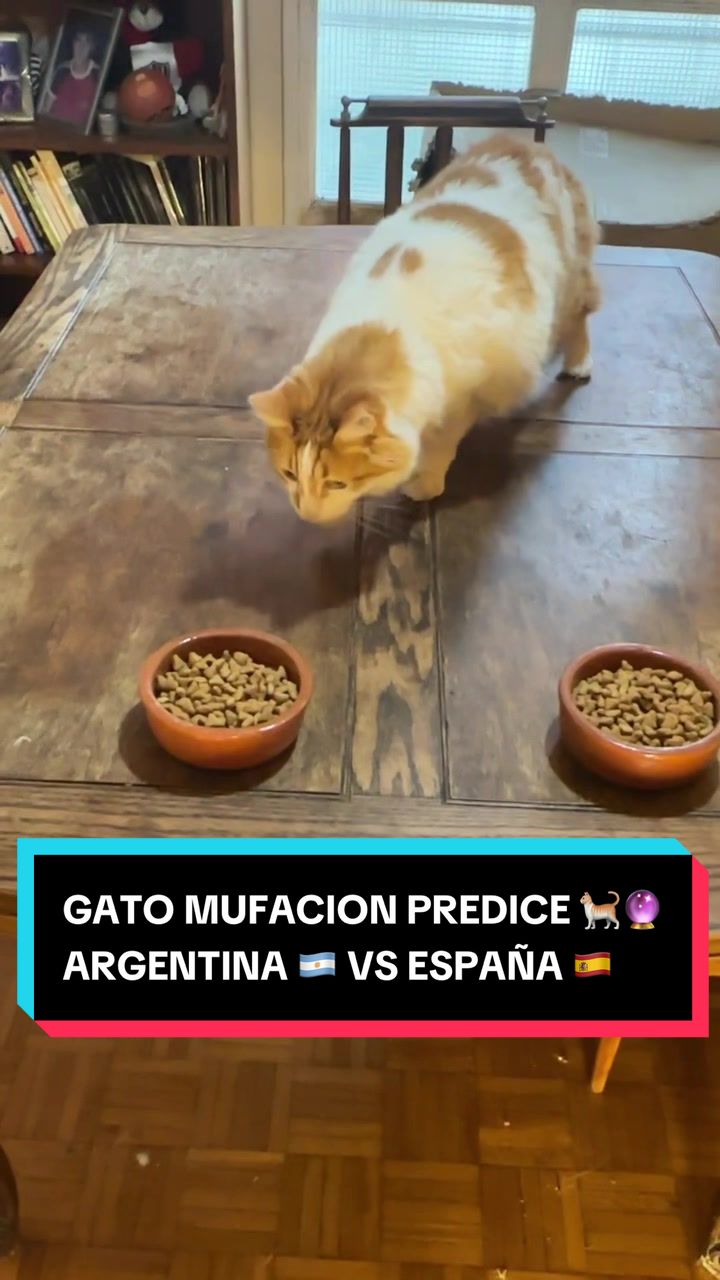 @Pablo Bruschi