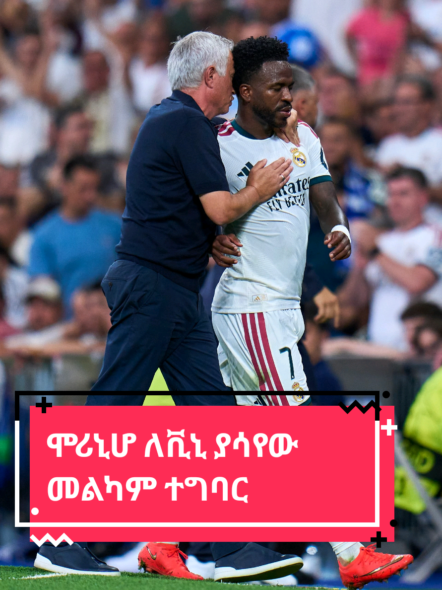 @Sham Sport