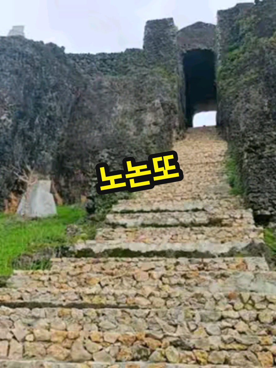 @펭수펭하🎶