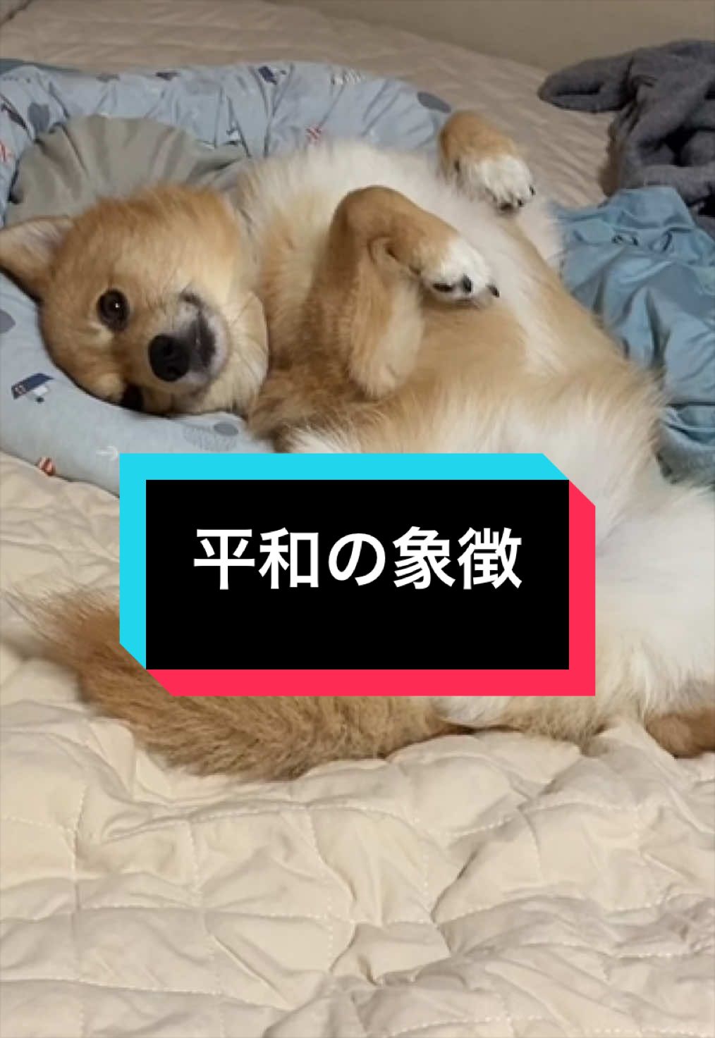 @サクサクビスケット