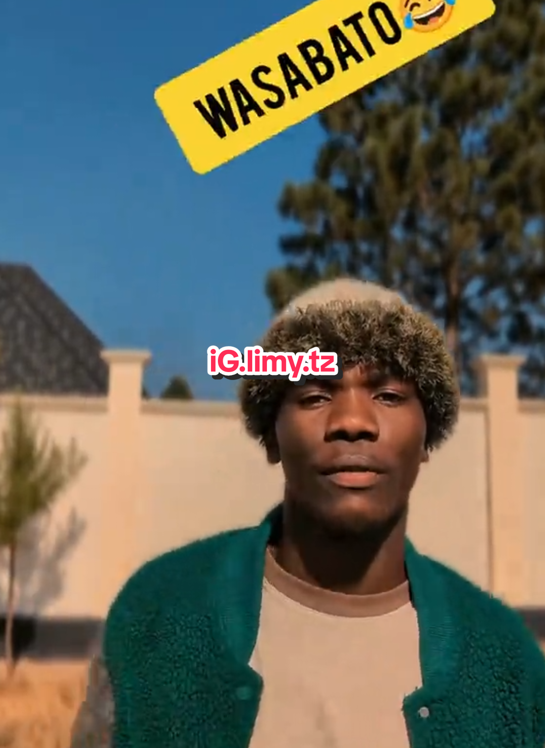 @limy.tz