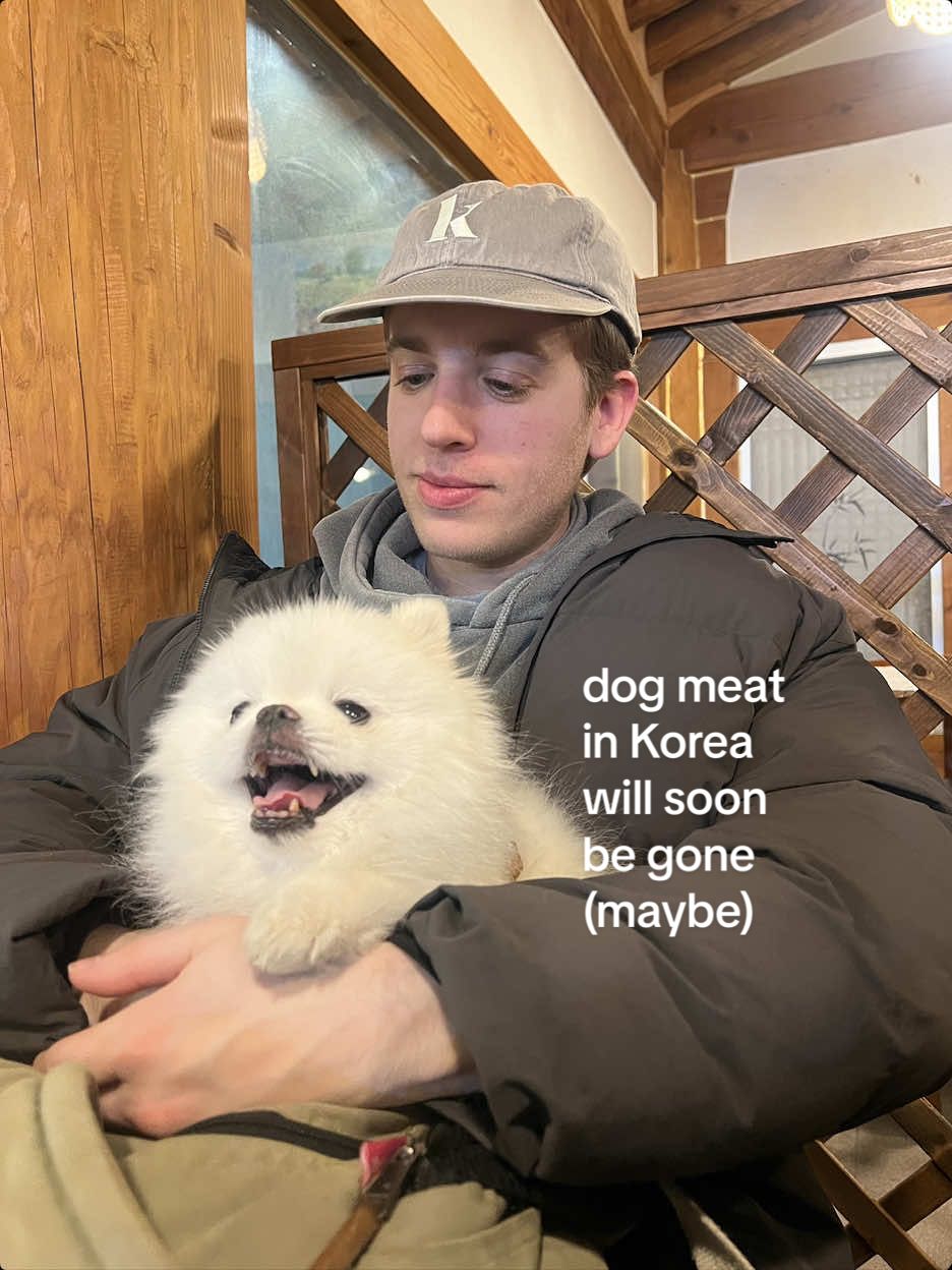 @wordswithbones