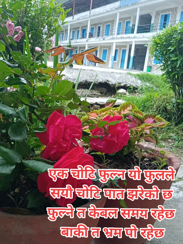 @sunita adhikari🇳🇵🇳🇵