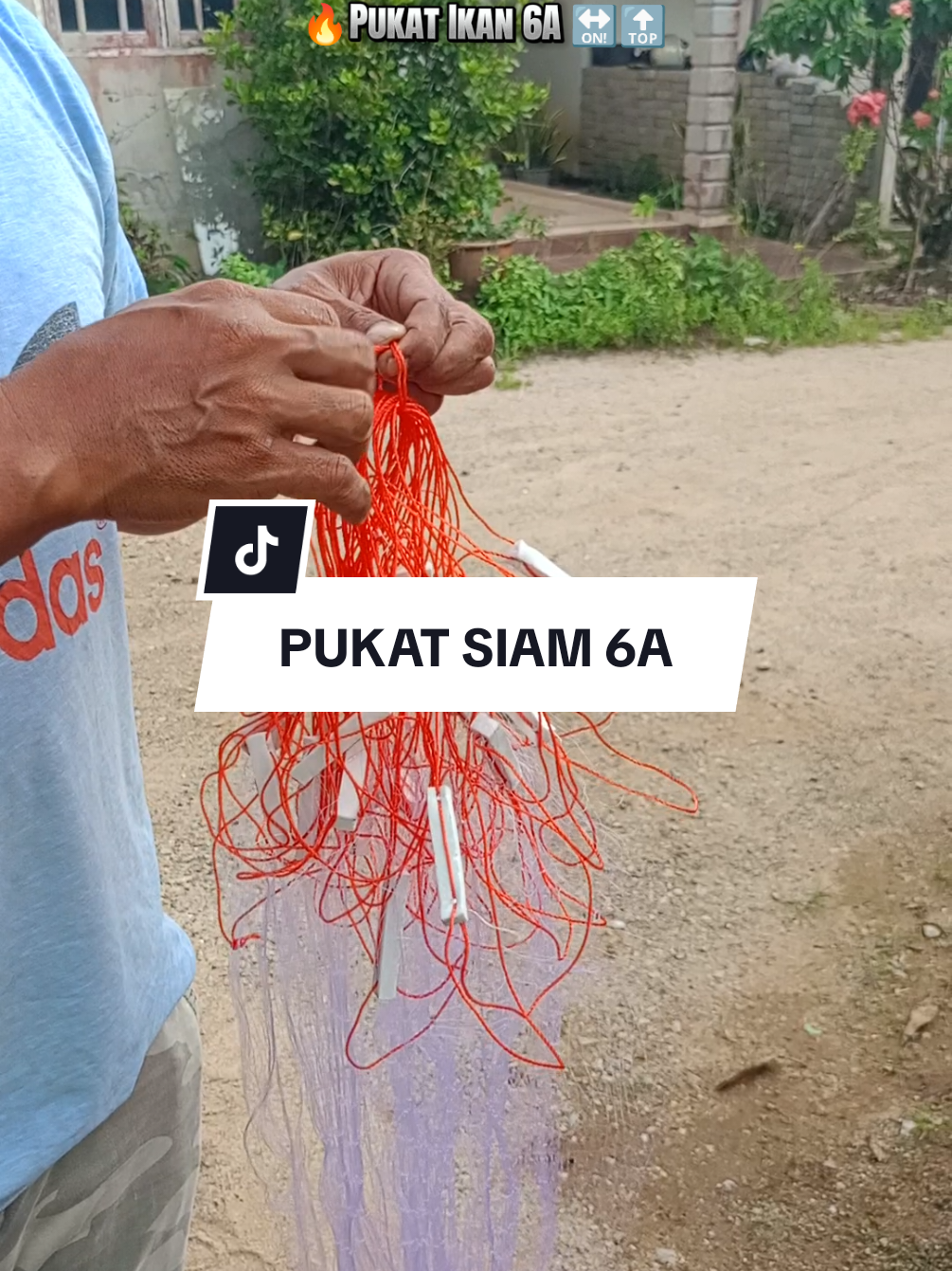 @Zue Ida
