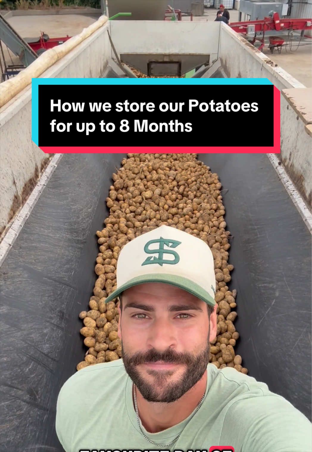 @Potato Ty