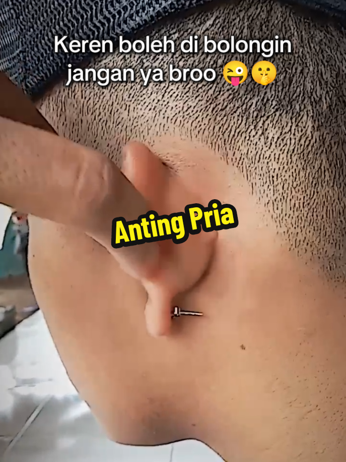 @firdardi.