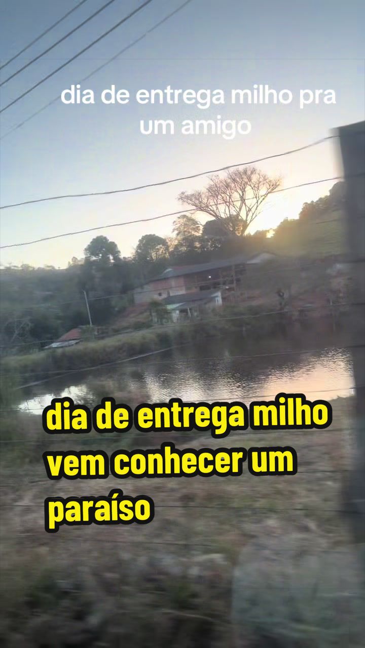 @Silvana Franco /vida na roça
