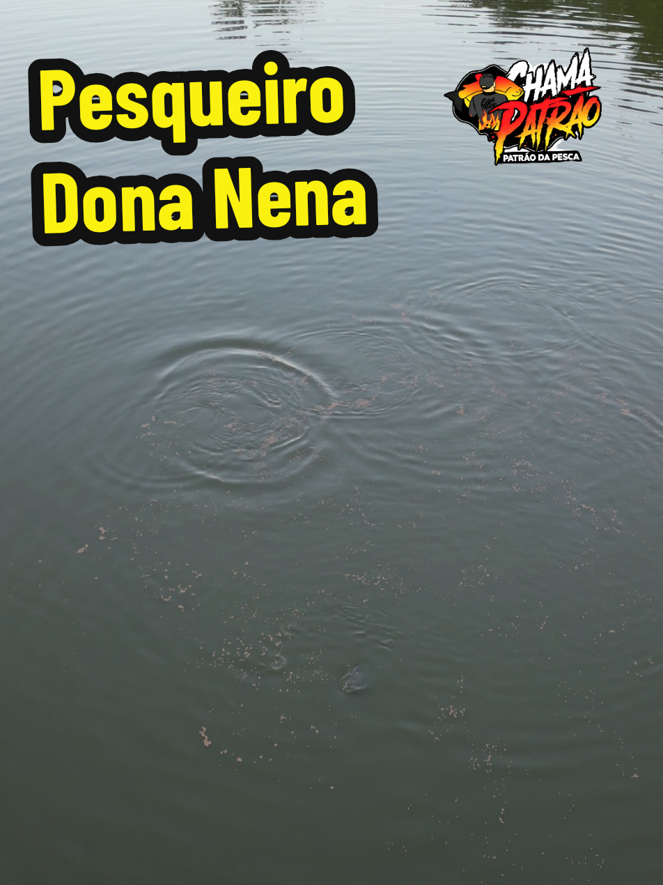 @Patr&atilde;o da Pesca