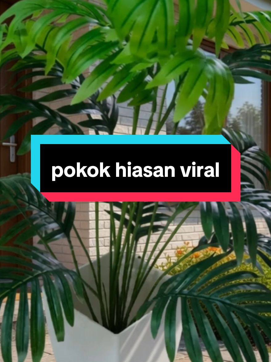 @KAK SAL