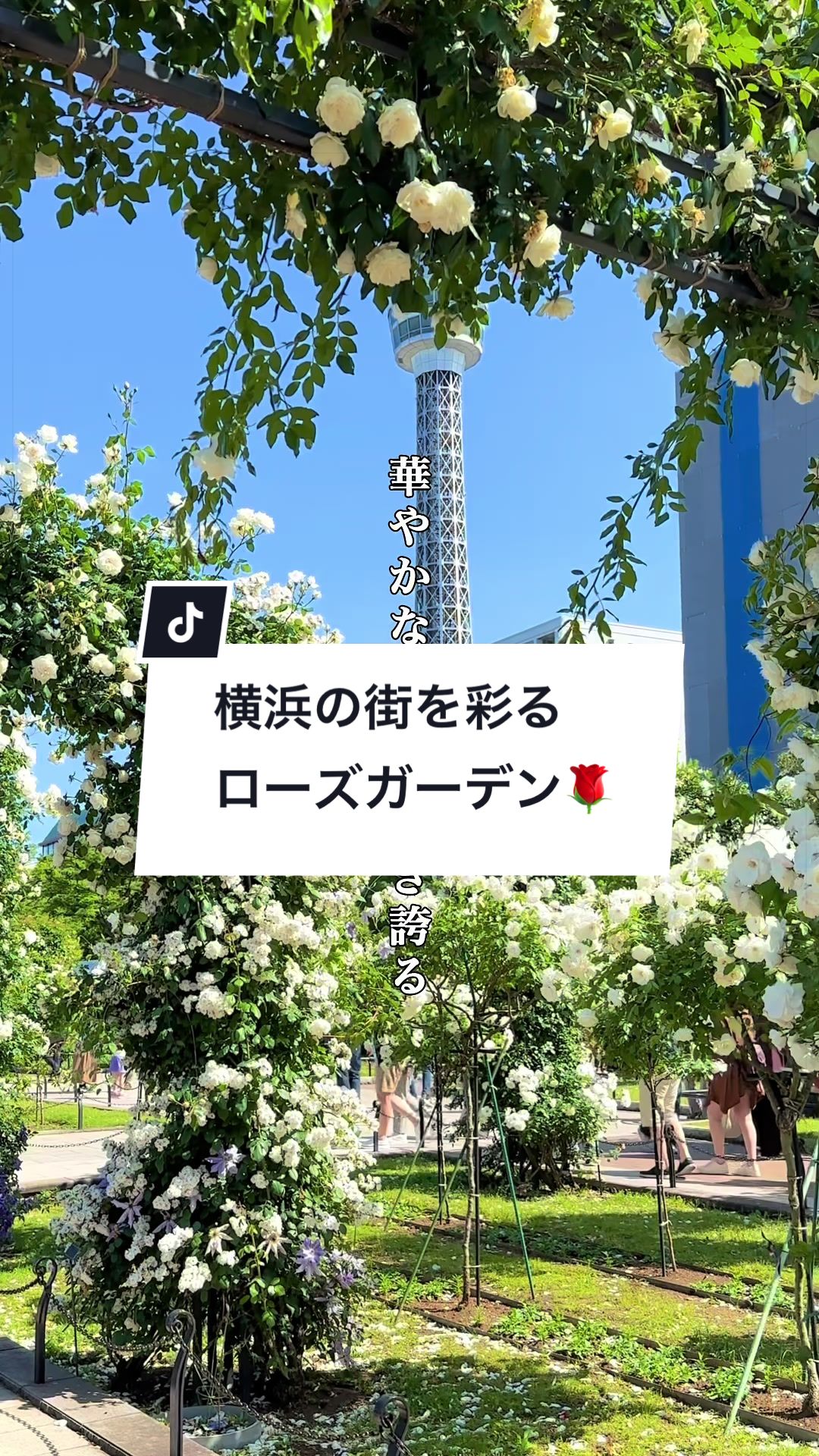 @MIZUKI | 東京おでかけスポット