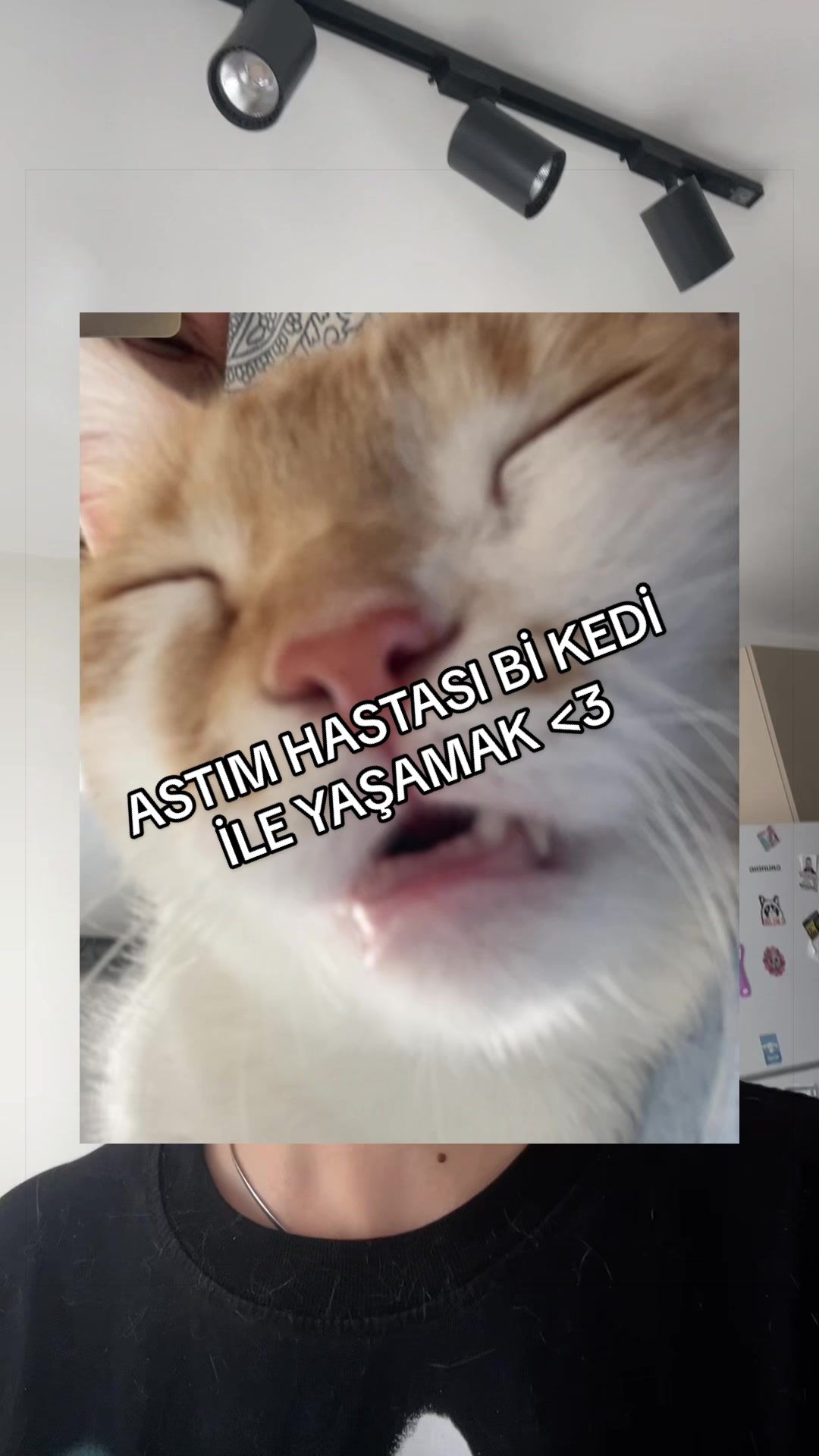 @Beyza🐾
