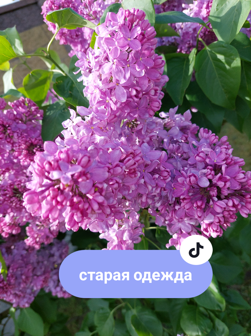 @Рыся✔️🇧🇾