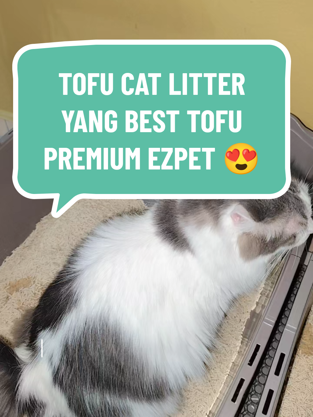 @Omma Kucing 🇲🇾🍉