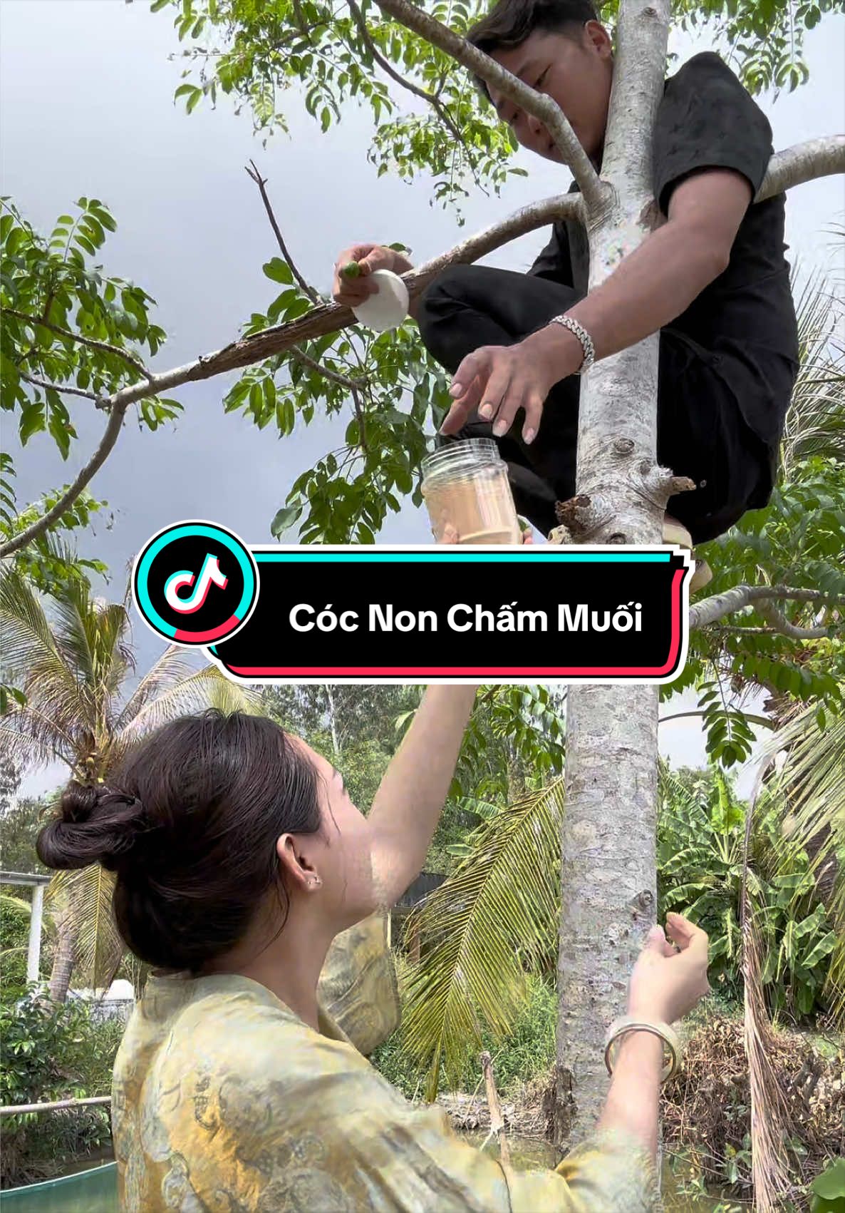 @&Uacute;t Kh&ocirc;ng B&aacute;o 🦅💚