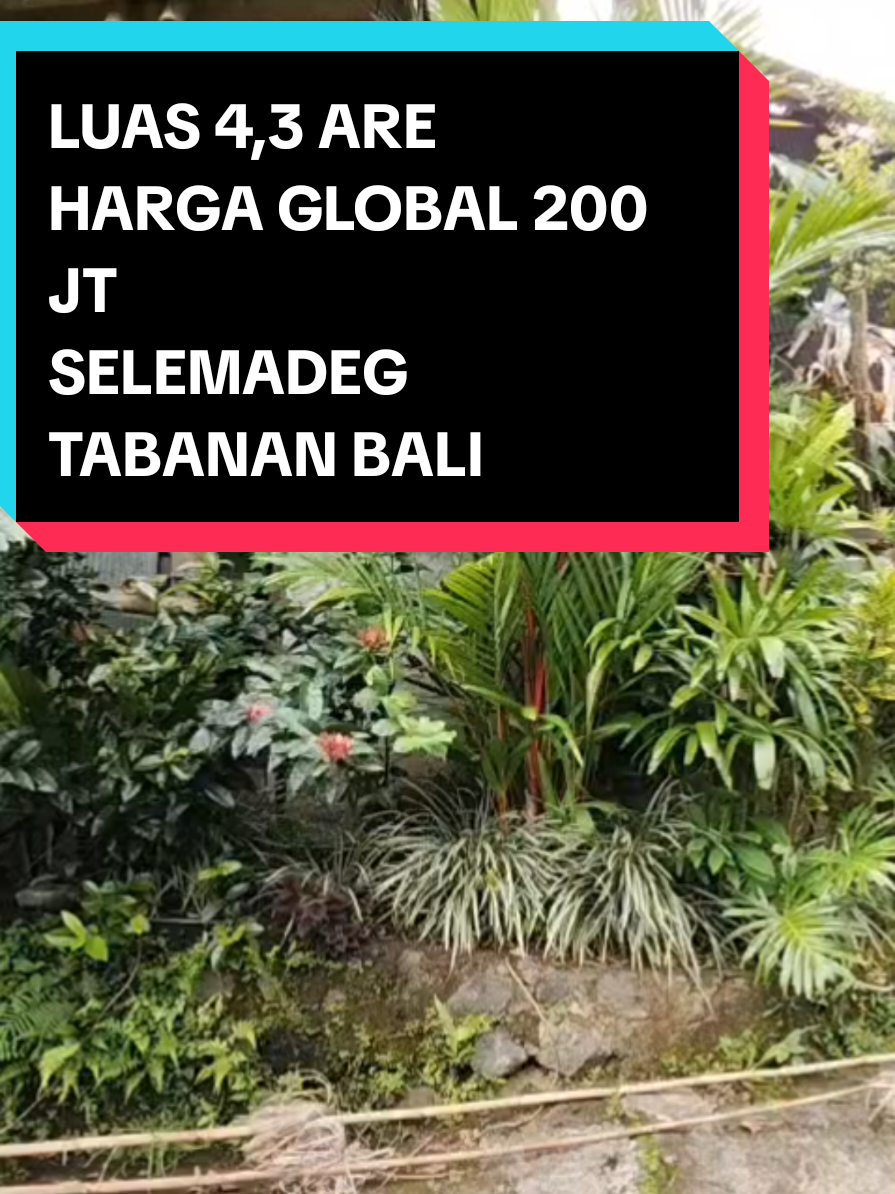 @Balinese Broker Bali