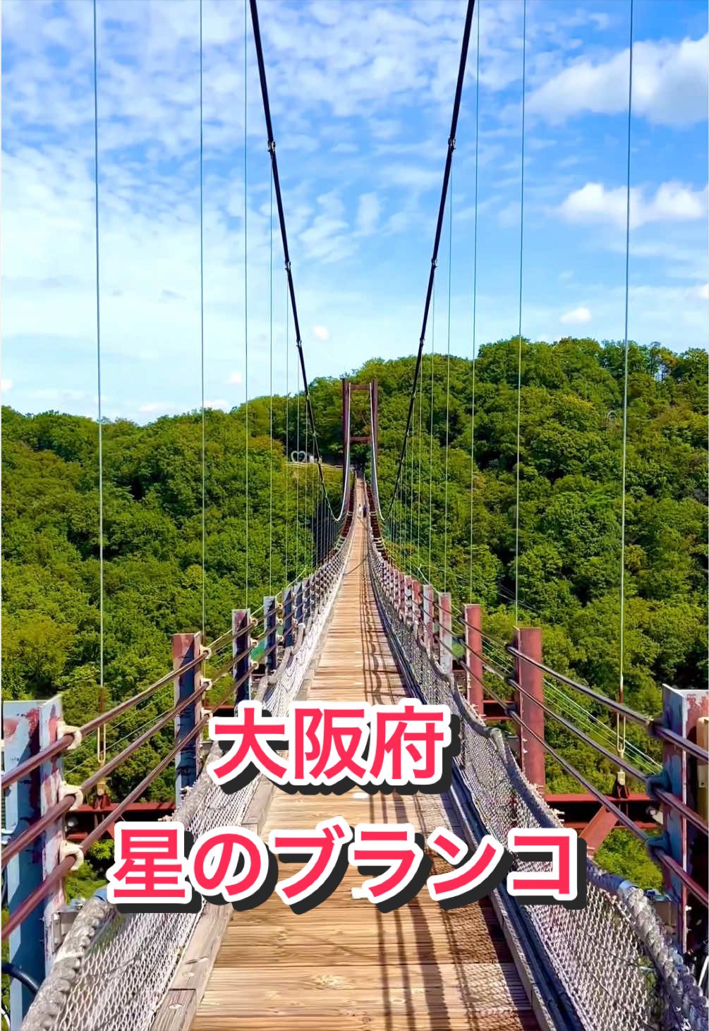 @音丸ぽん🇯🇵