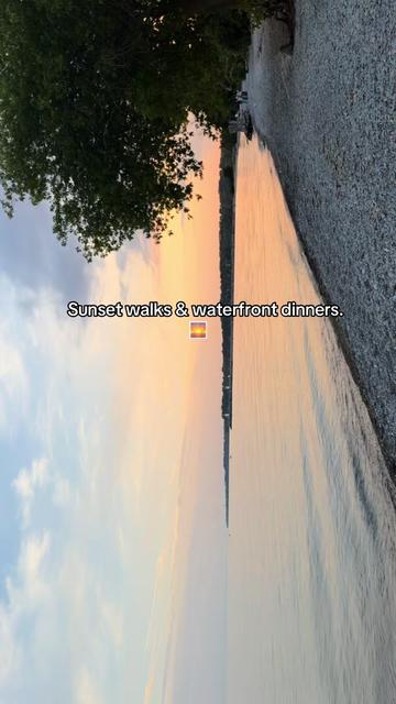 @ℳ𝓈.𝒮𝒽𝑜𝒷𝒶𝓃𝒶𝒶