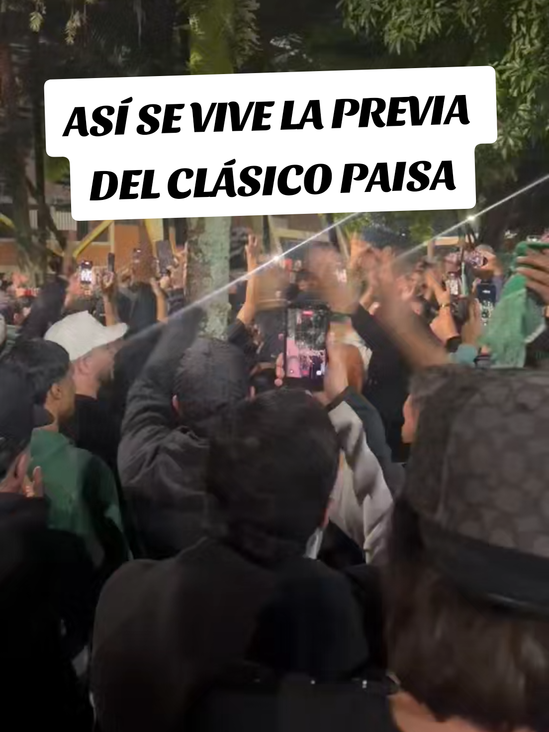 @NOTICIAS DEL VERDE
