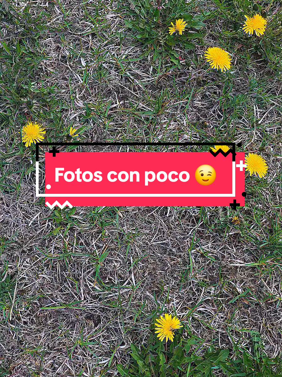@Susy Napoles