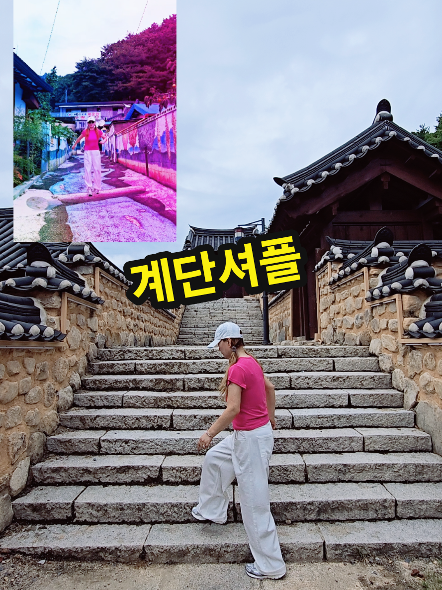@틱톡왕비