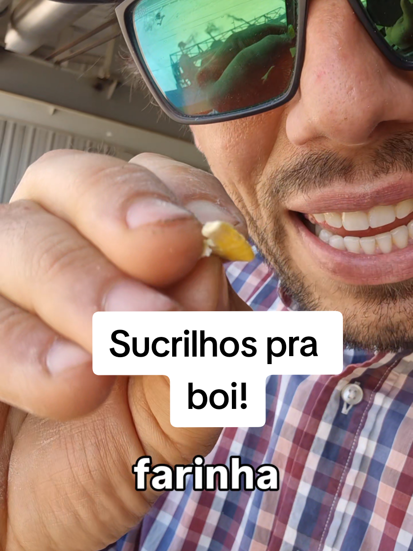 @Olavo Franco Bottino