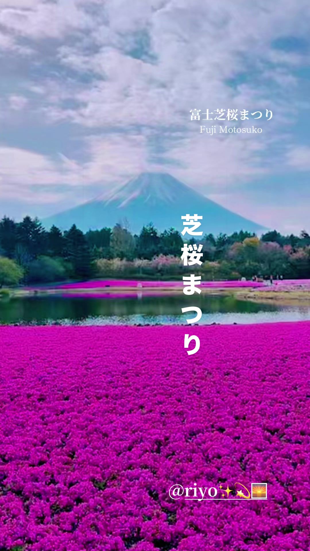 @NICHE(ニッチ)