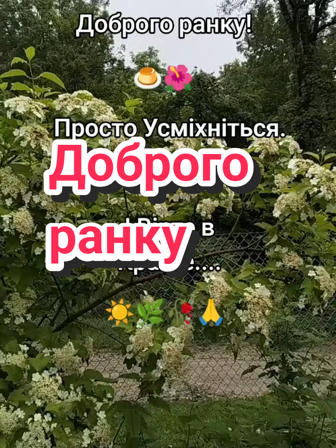 @🌹 𝐋𝐚𝐫𝐢𝐬𝐚 🌹
