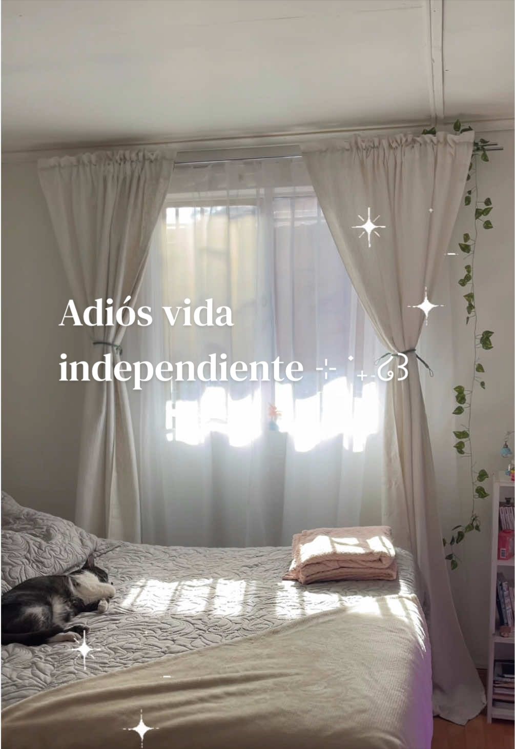 @⋆ ˚。⋆୨Mandi୧⋆ ˚。⋆