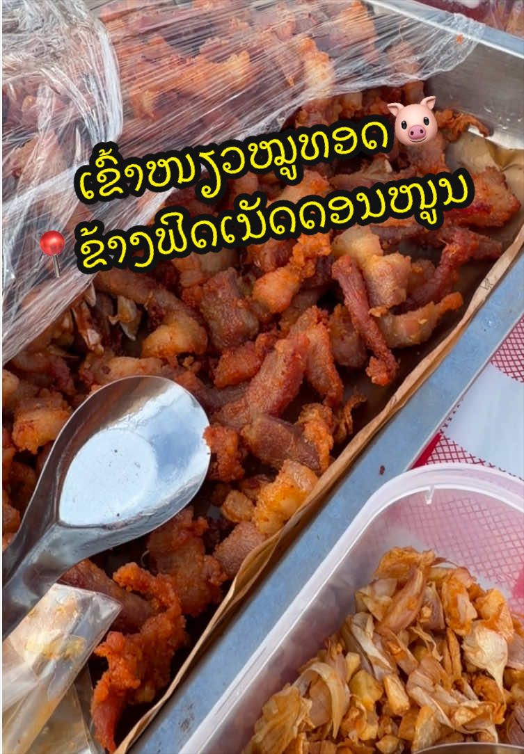 @๐๐พ ๐๐ข๐๐ฅ๐ค๐ช๐๐ฉ