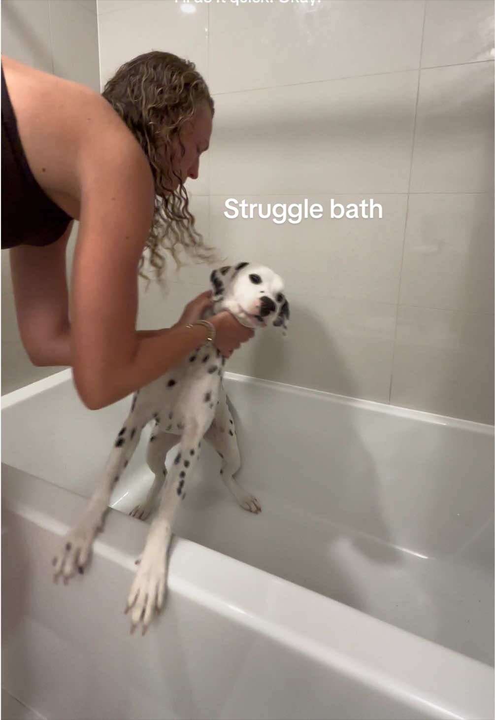 @Nevada the Dalmatian