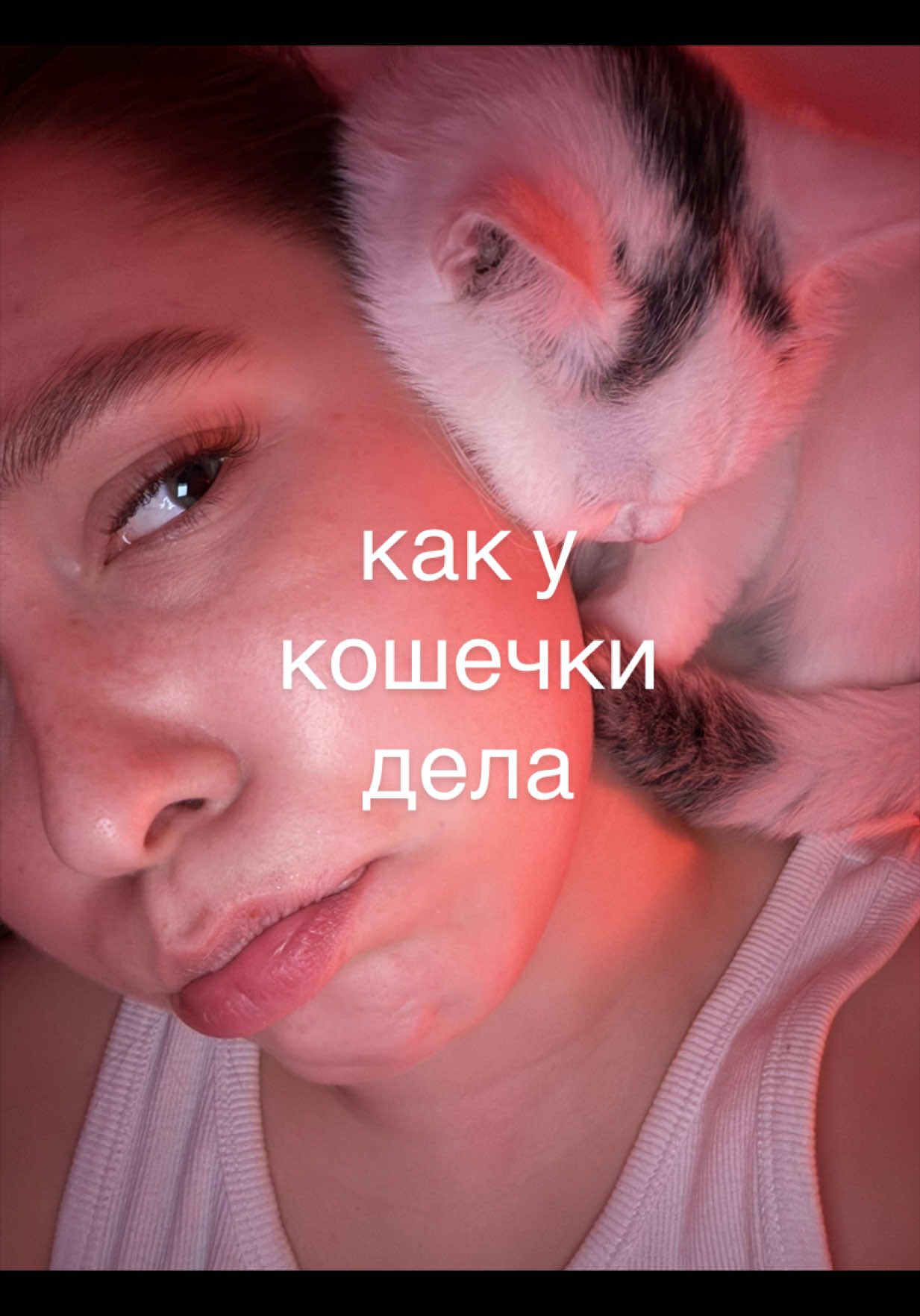 @тгк: Звелинская вещает💭
