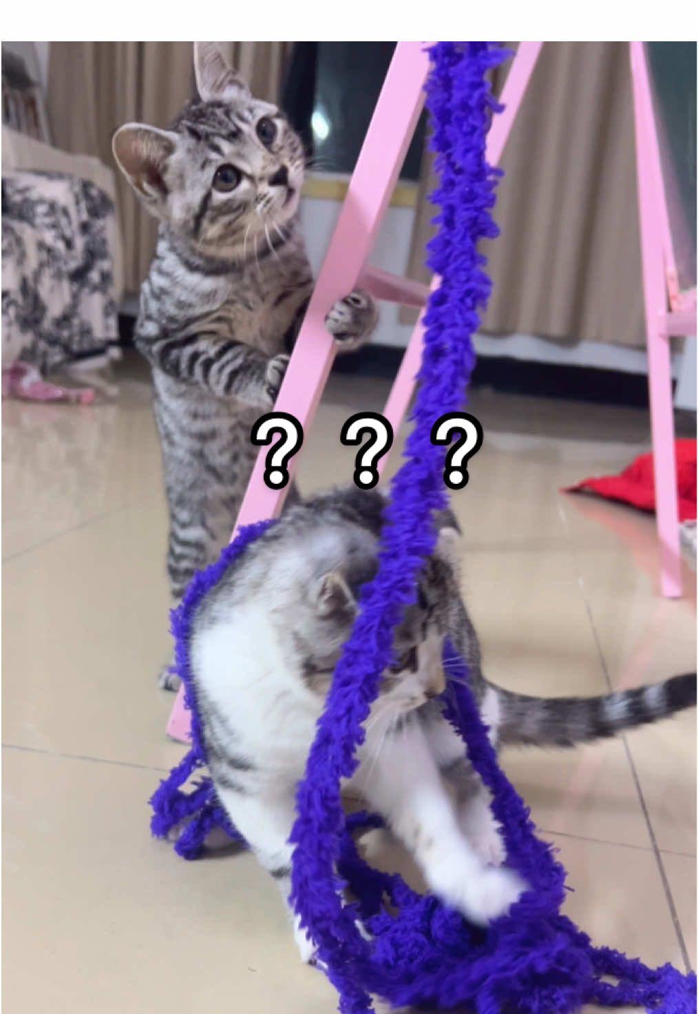 @淘气鬼