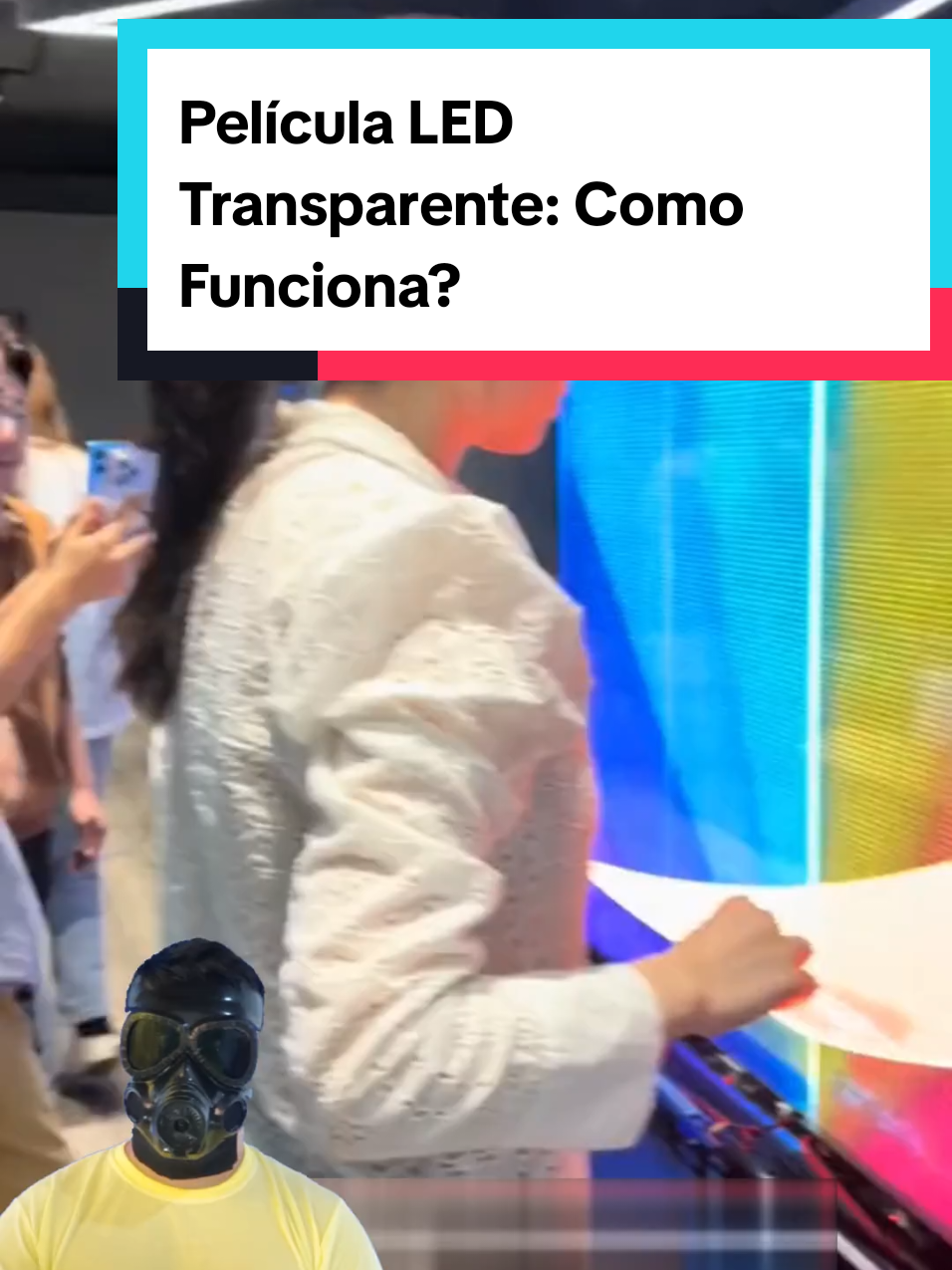 @Mundo da Curiosidades