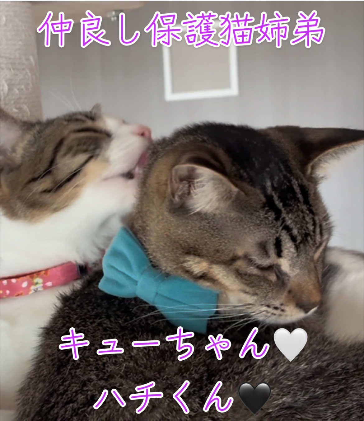 @はっぴー野郎☺︎