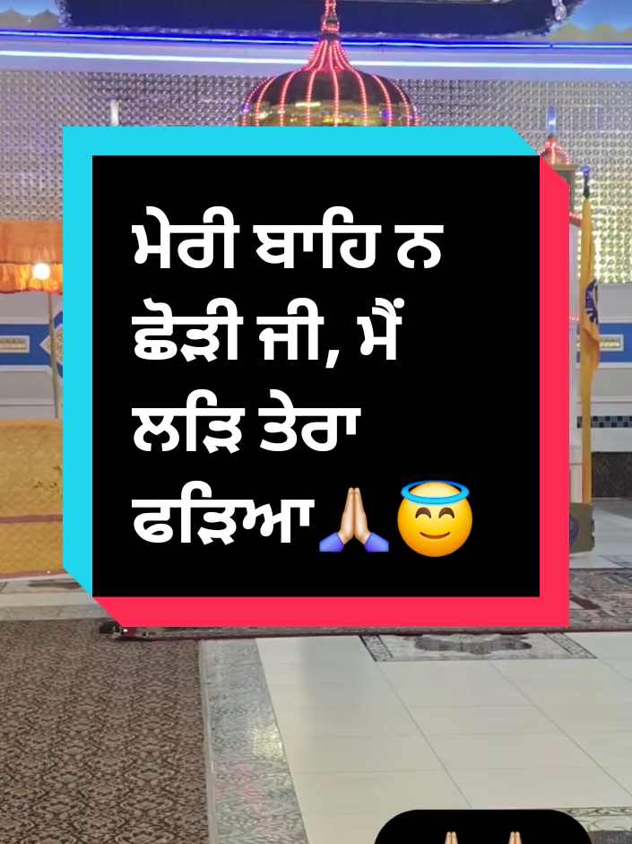 @D.G
