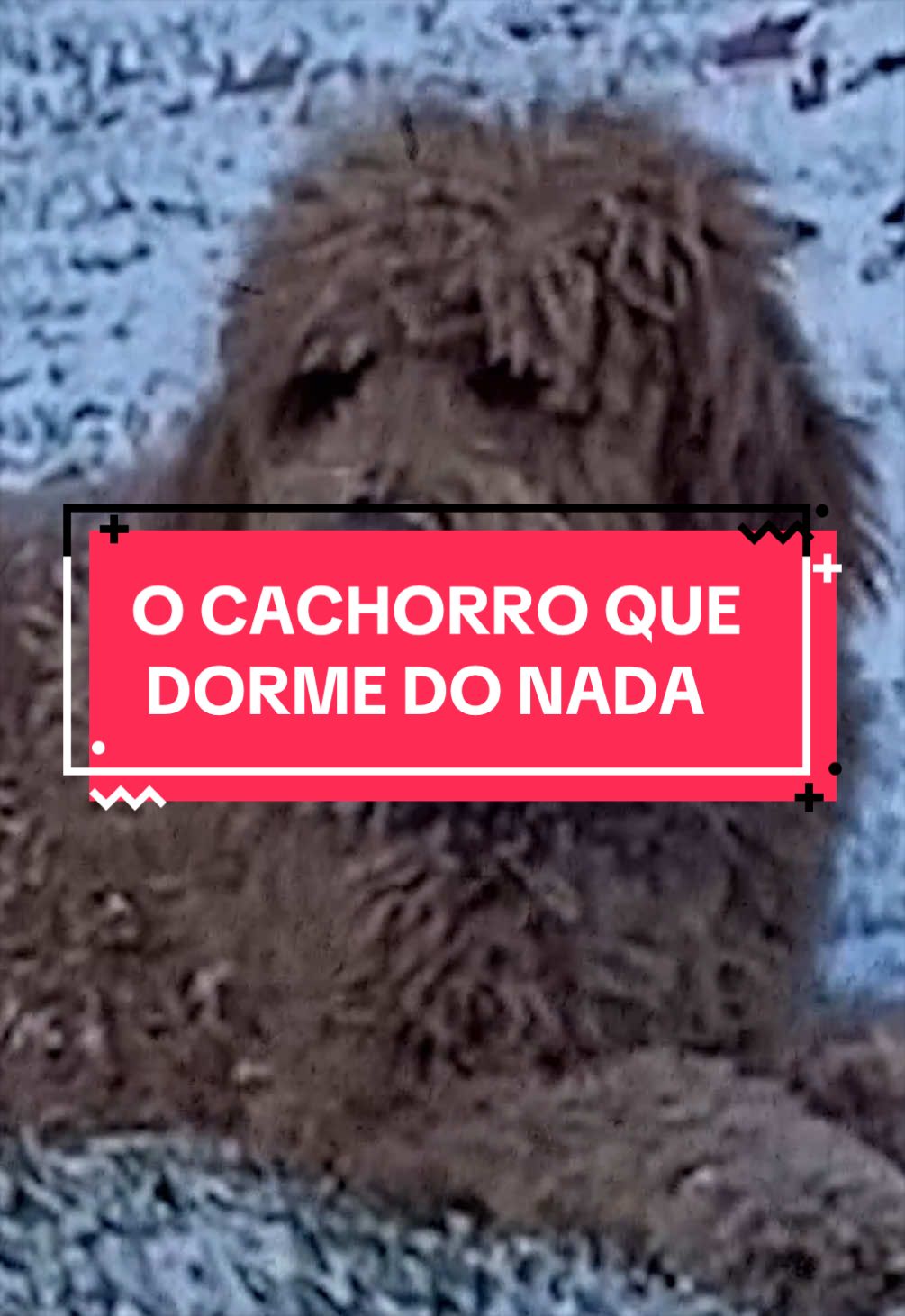 @Tio Sun