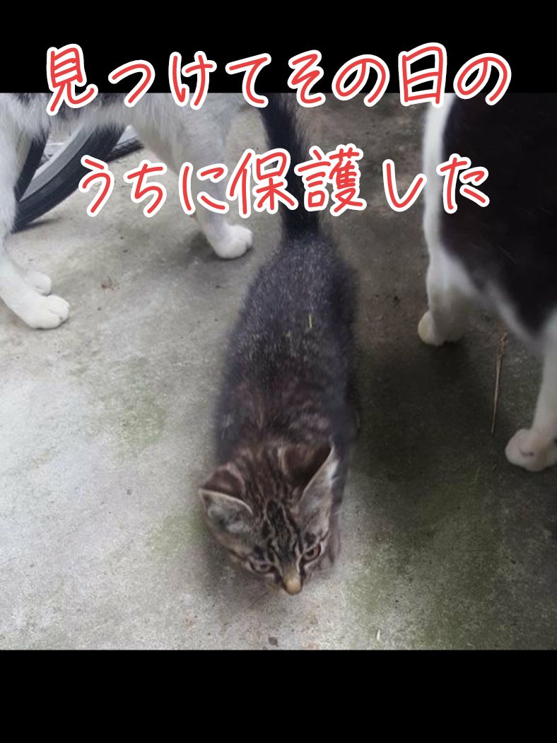 @ひろねえ