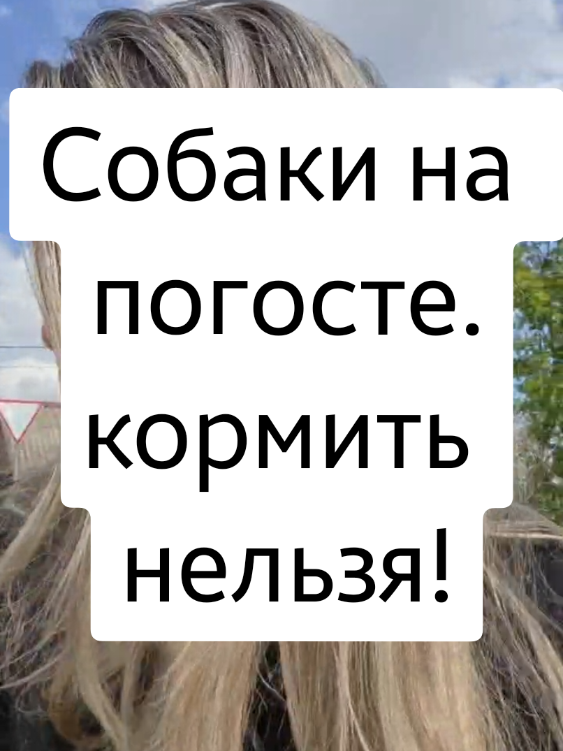 @ТГК: violetta_wax