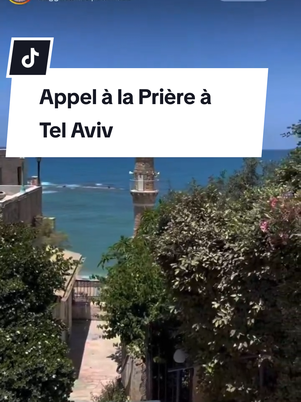 @Promised Land - Isra&euml;l