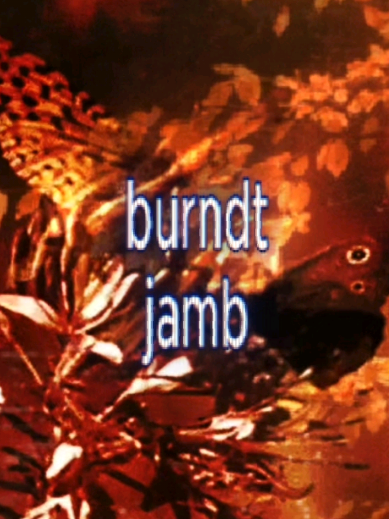 @jamb🚦=w=