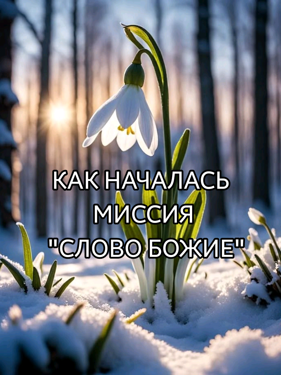 @Екатерина