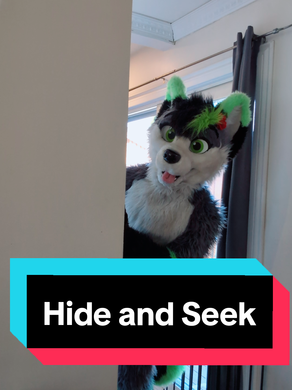 @Firefly Wolfy