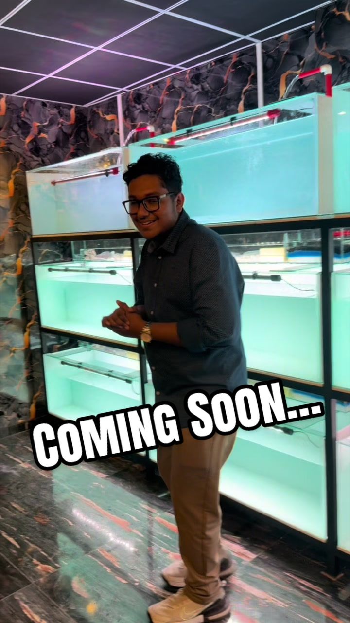 @Aquaman_lk