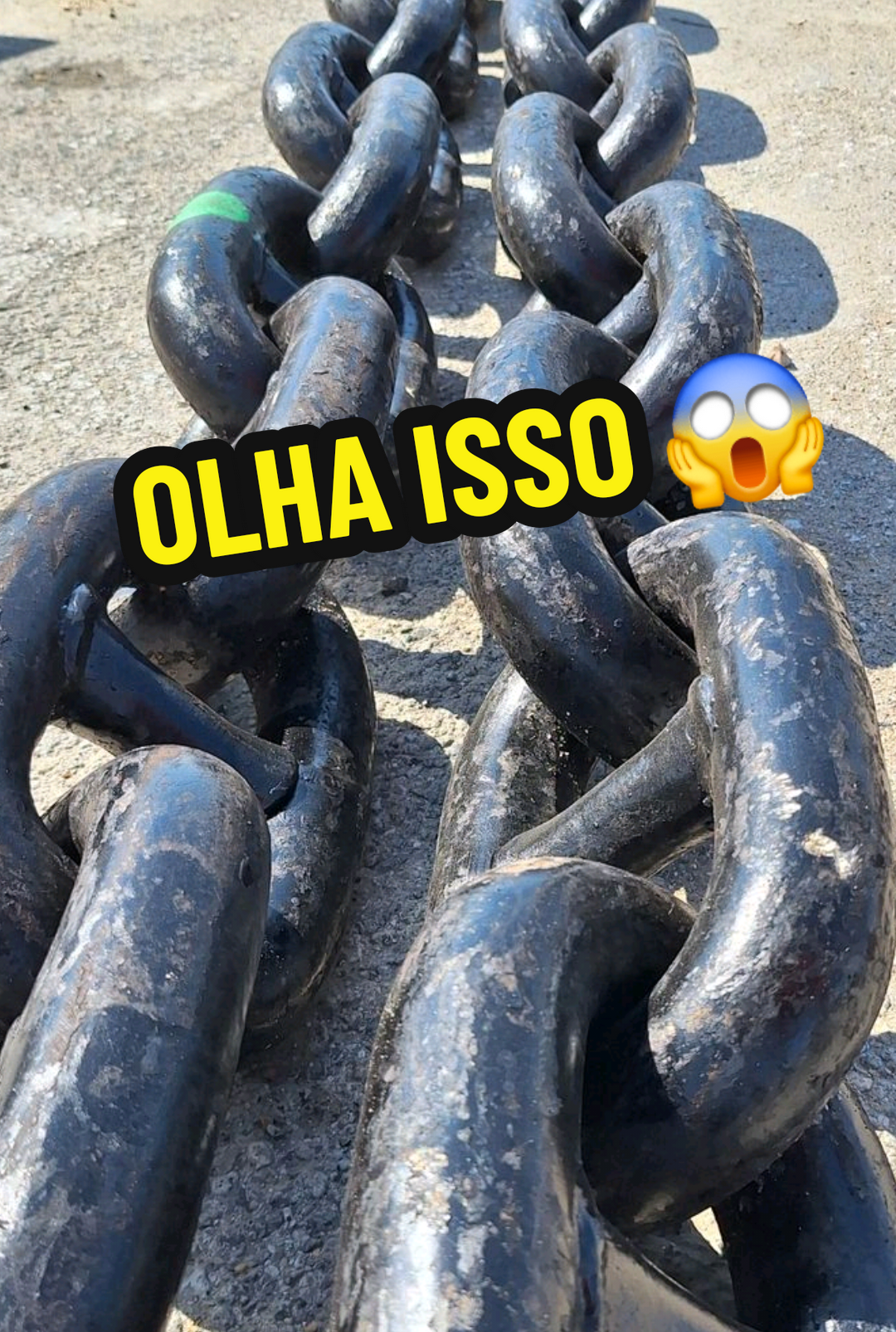 @RAIZ DO SABER