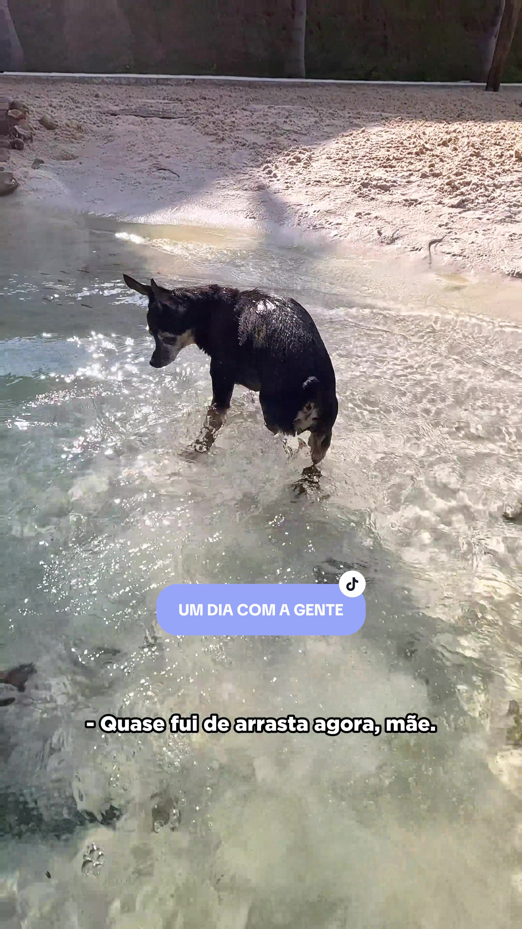 @Pequenos Pr&iacute;ncipes